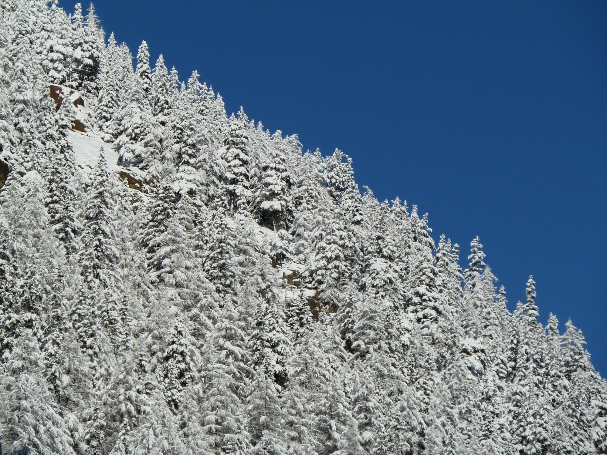 Appartement Gurgl Obergurgl Esterno foto